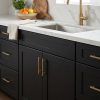 Black Roast kitchen cabinets by CCC Cabinets shown in a sink run beneath a bright window - flat shaker door in a true matte black, wholesale cabinetry in Des Plaines, Chicagoland