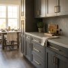 Dark Grey kitchen cabinets by CCC Cabinets shown in an open-concept kitchen seen from the living area - flat shaker door in a deep charcoal stain, wholesale cabinetry in Des Plaines, Chicagoland